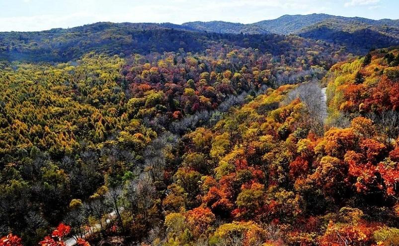 吉林十大冷门景点,人少景美好玩