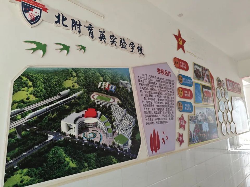 大理市海东育英实验学校科普教育成果斐然