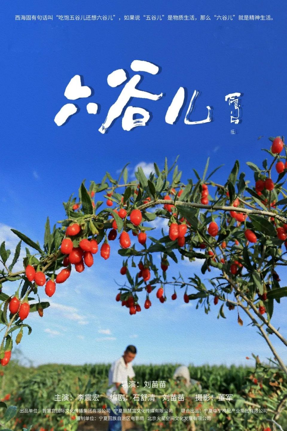 海报丨唱响乡村振兴华美乐章  电影《六谷儿》宁夏首映