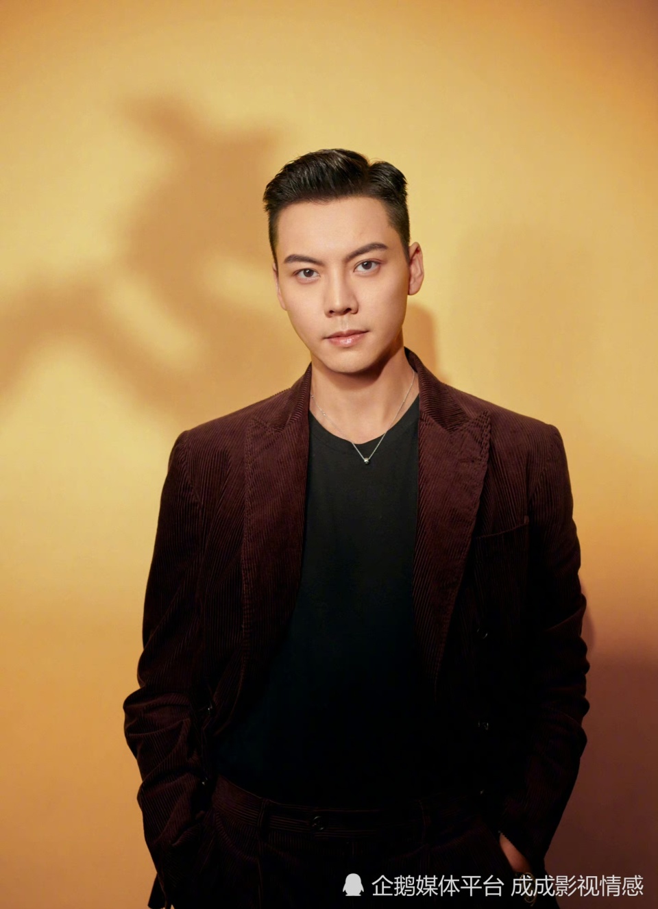 赵露思,陈伟霆《许我耀眼》即将开机,剧版颠覆原著,期待吗?