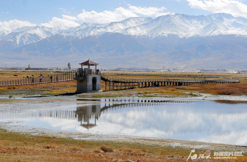 大美哈密 | 巴里坤高家湖湿地景区美如画_腾讯新闻