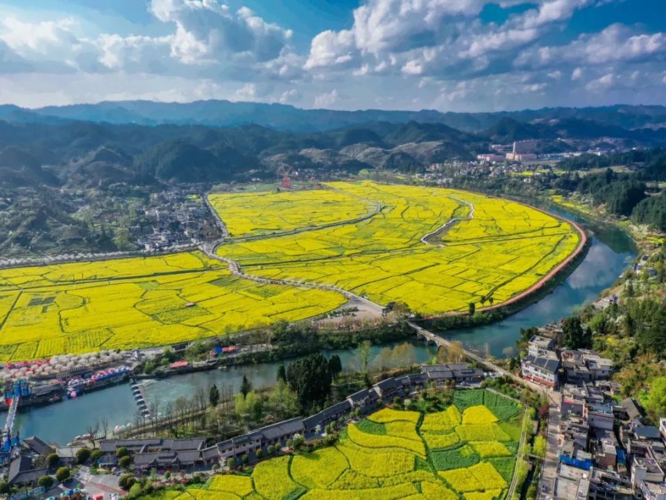 贵州地名之邀您“赏春花”——周末去哪里，来一趟“油菜花”之旅_腾讯新闻