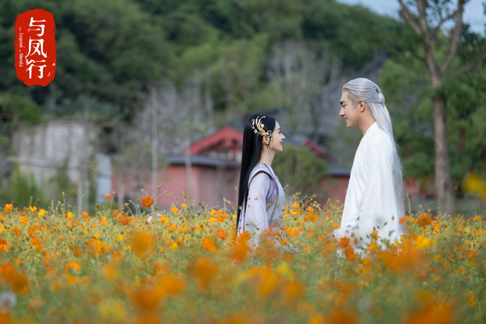 对话《与凤行》主创:一部"现实主义的仙侠剧"该怎么拍