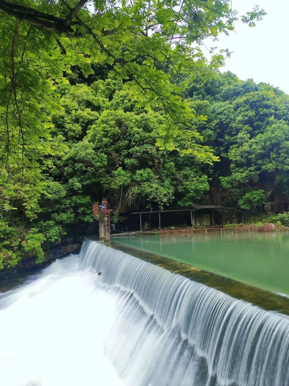 只此青绿,来看看临安版"绿野仙踪".