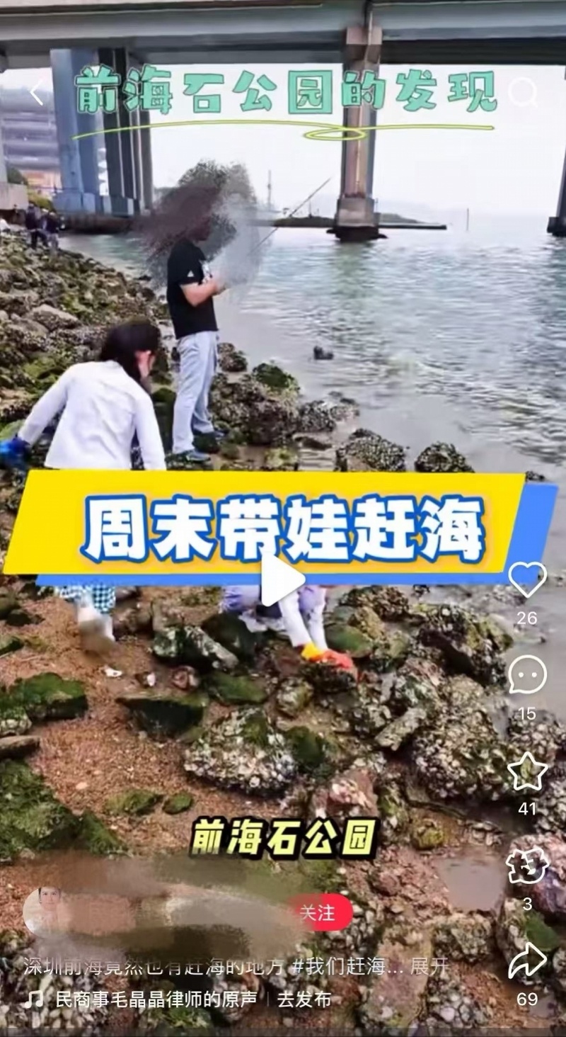 深圳前海石公园有人“赶海”？管理方：有警示牌及巡查劝阻_腾讯新闻
