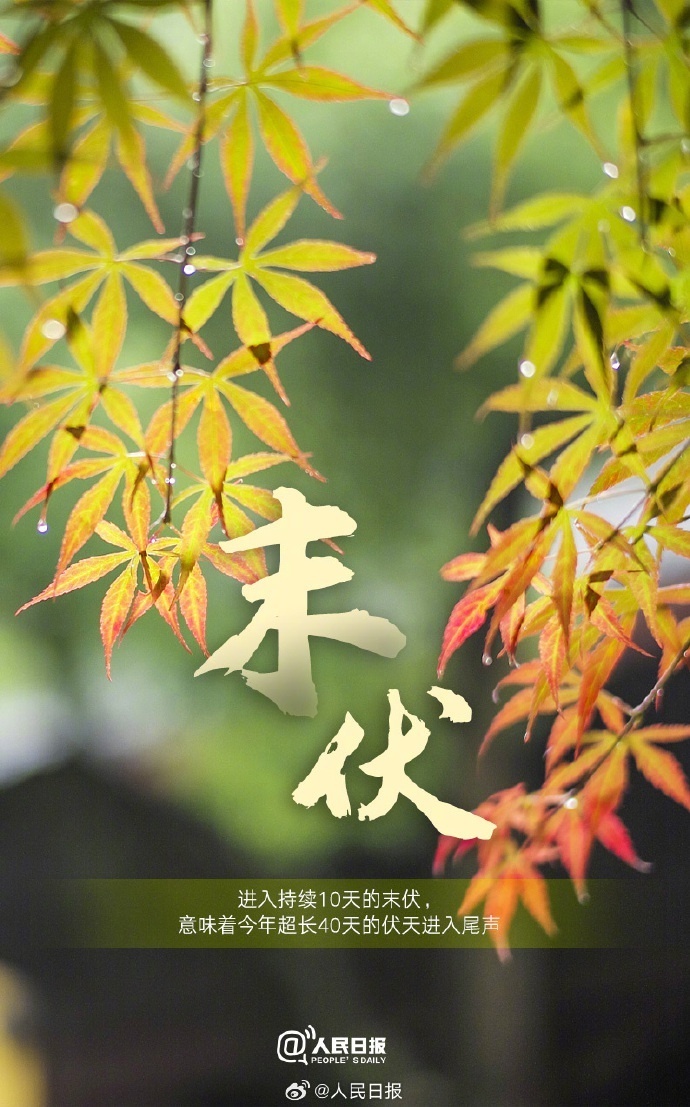 今日末伏超长40天伏天进入尾声