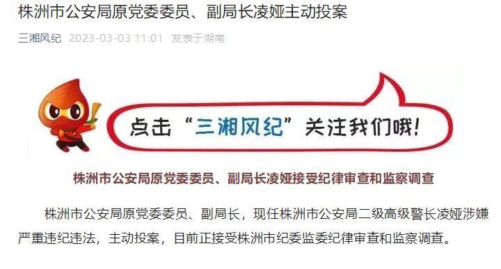 株洲市公安局原党委委员、副局长凌娅主动投案_腾讯新闻