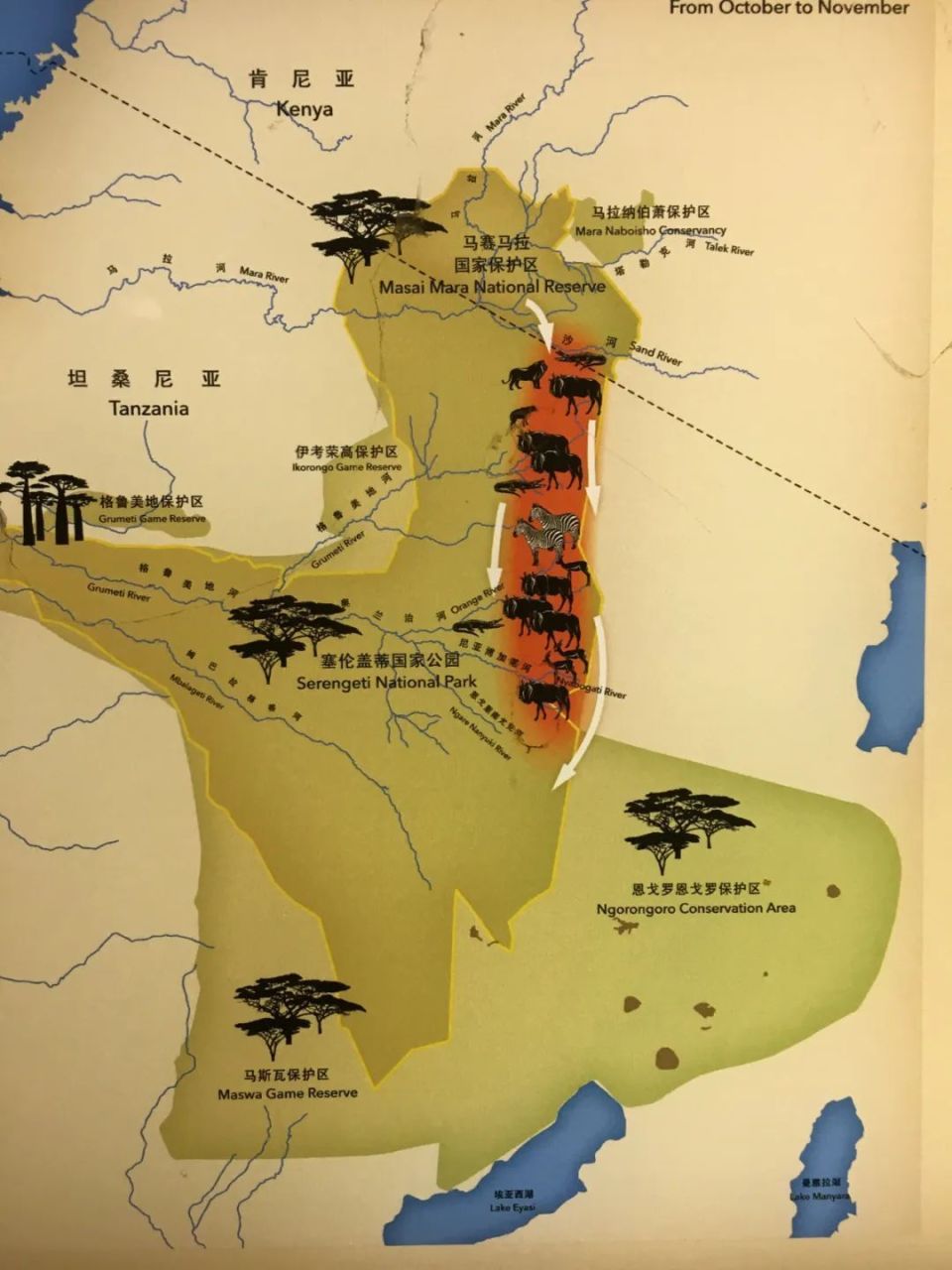 人生必去旅行清单又添一项!向你安利夏季最狂野的旅行体验!