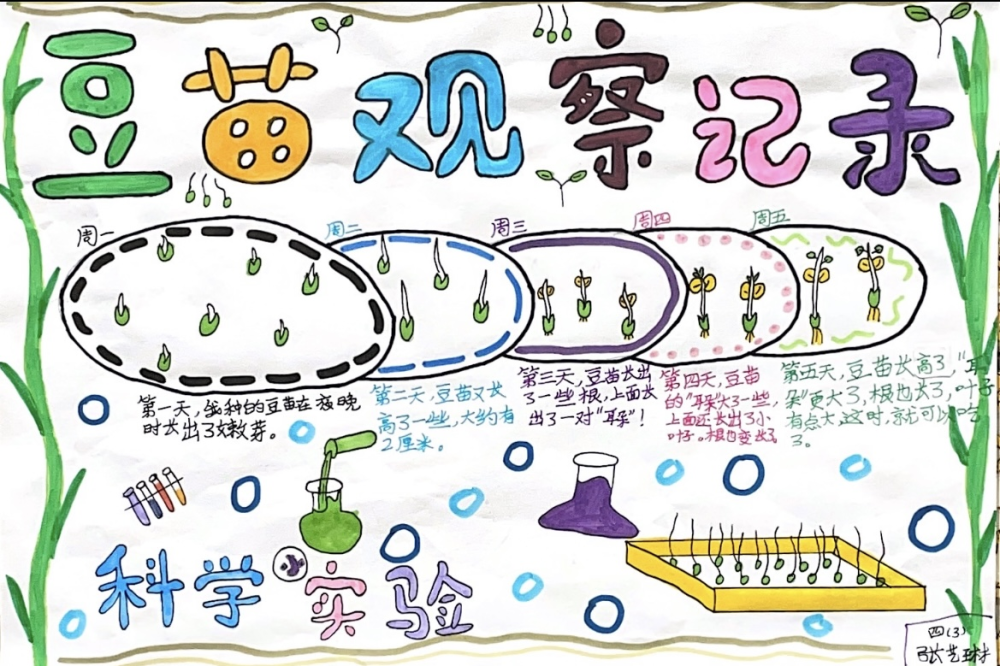金水区工人第一新村小学开展趣味科学小实验活动