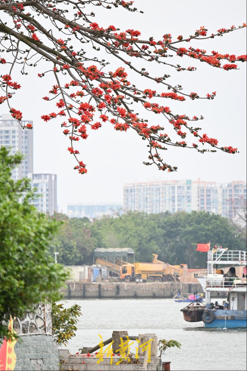 全新首页焕新登场