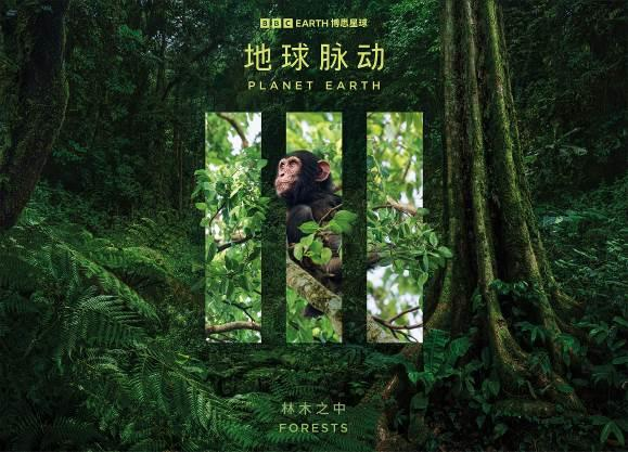 纪录片《地球脉动 iii》第五集:林木之中