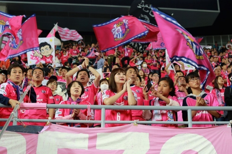 2024日职球队介绍大阪樱花战力满满