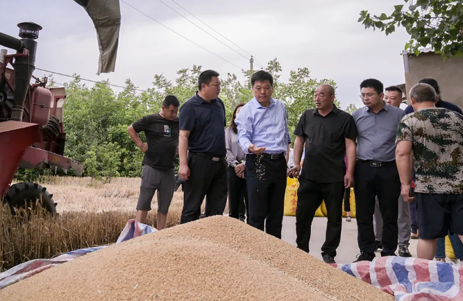 许昌市魏都区委书记何长成调研麦收工作