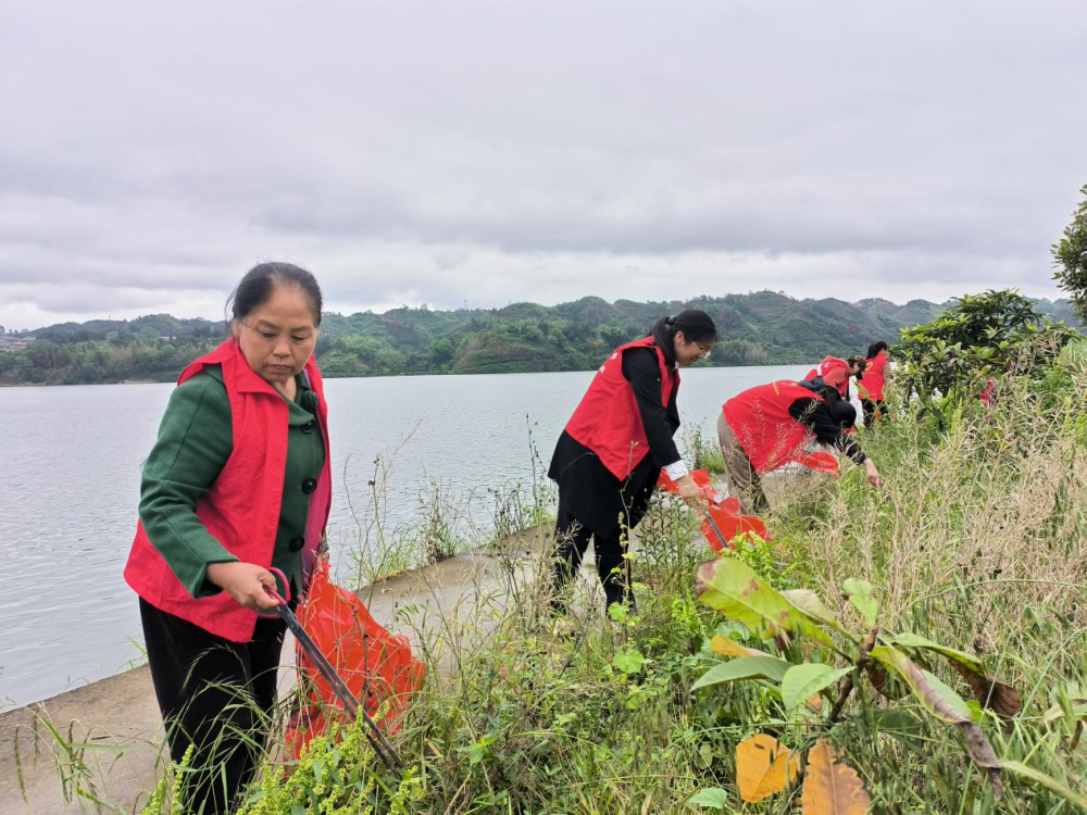 洪江市太平乡巾帼志愿护河队成立