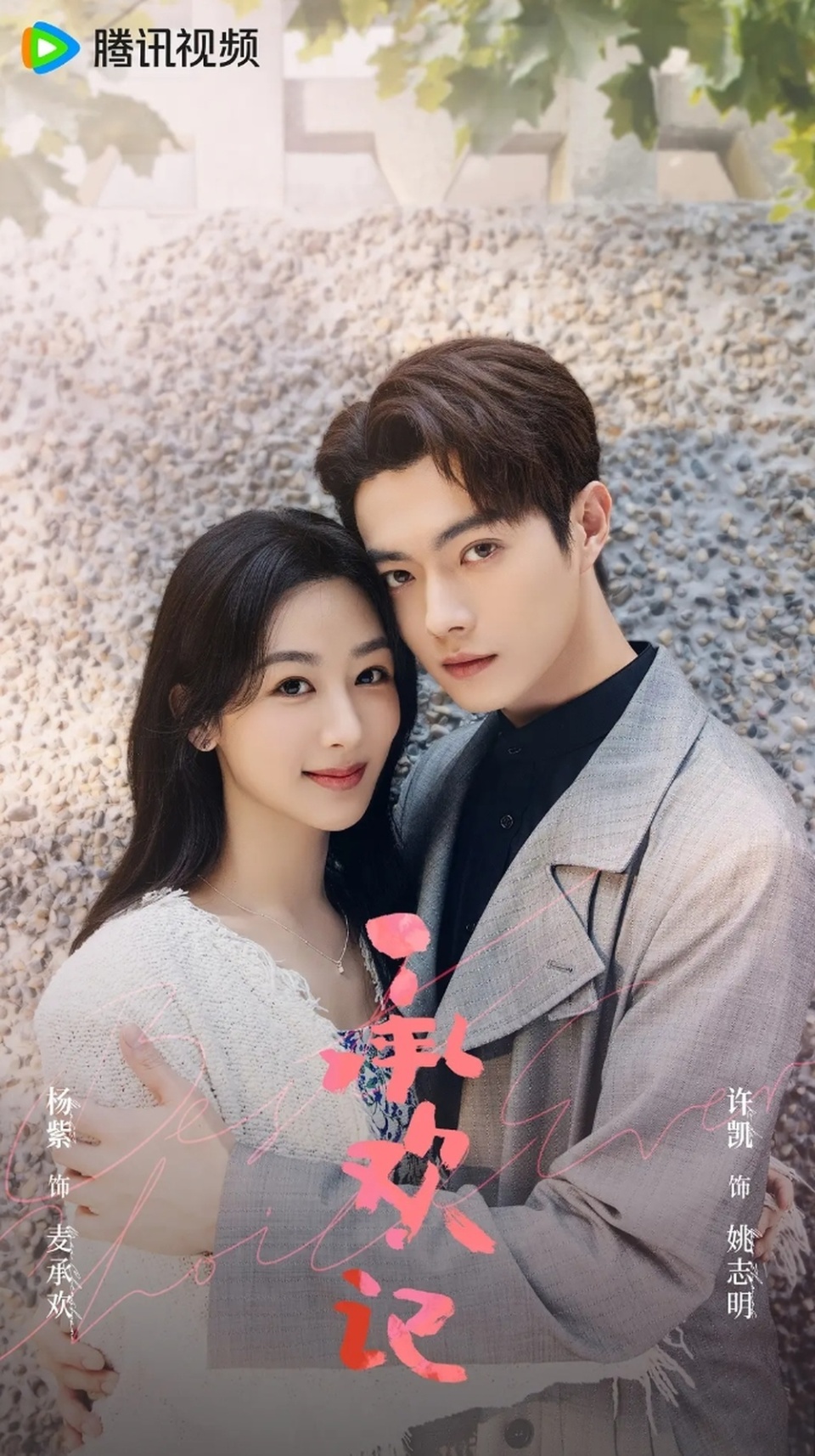 亦舒又遭魔改视评