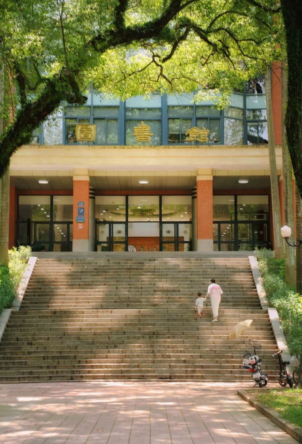 中山醫科大學錄取分數線是多少_中山醫學系分數_中山大學醫學院錄取分數線