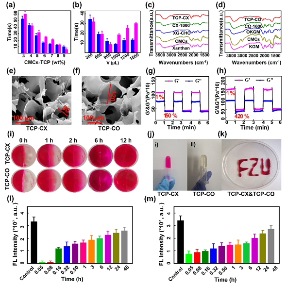 生物止血膜有哪些福州大学／中科院物构所《AFM》：生物启发的自愈性水凝胶，实现胃溃疡快速止血与促进伤口愈合_https://www.jmylbn.com_新闻资讯_第3张