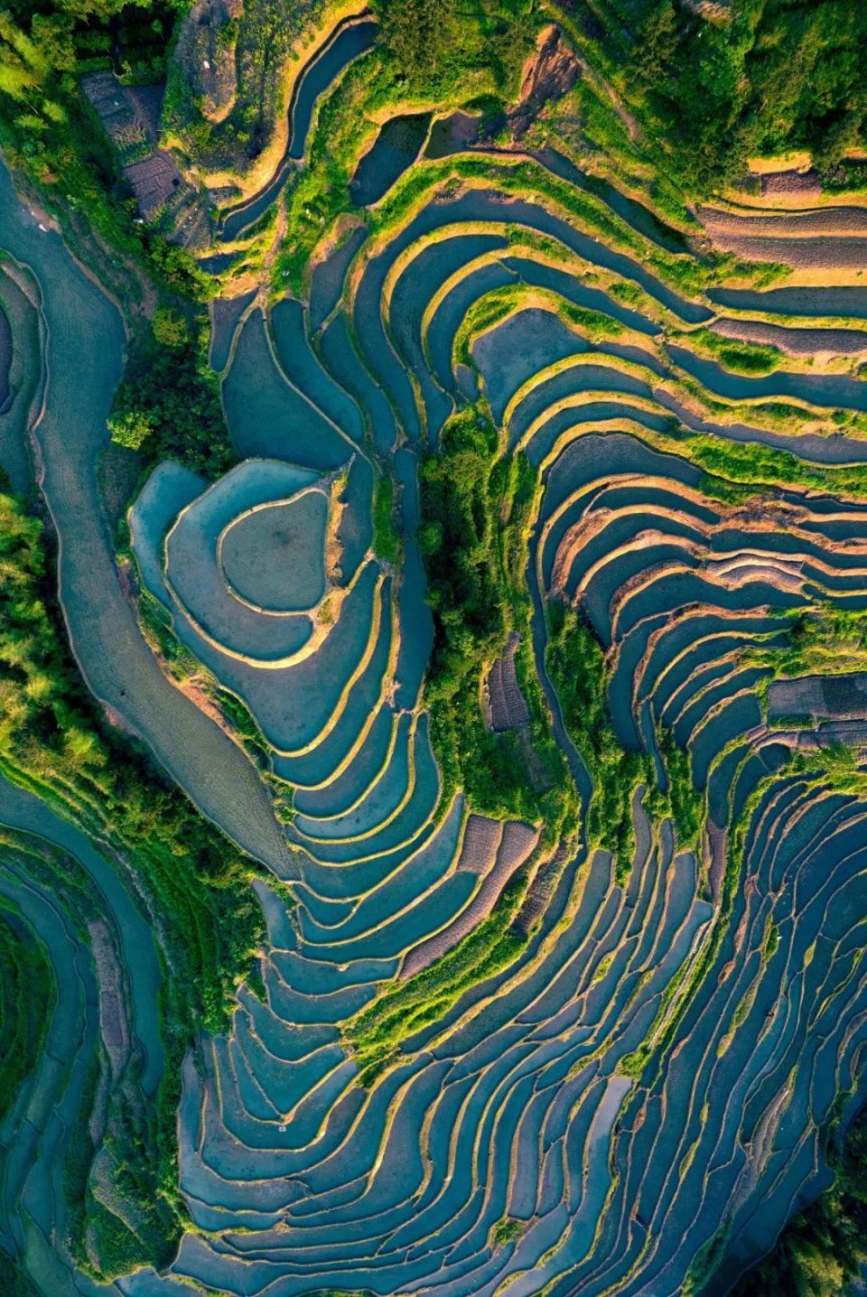 中国最美梯田,你去过几个?
