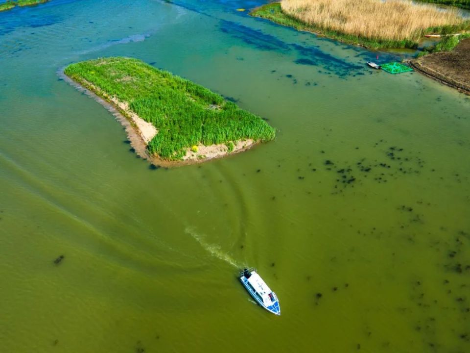 石龙湖湿地公园图片