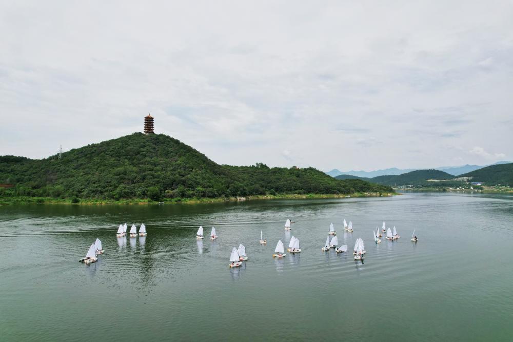 30余位运动健将横渡金海湖