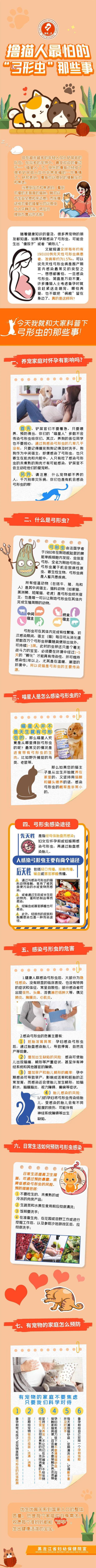 【科普】撸猫人最怕的"弓形虫"那些事