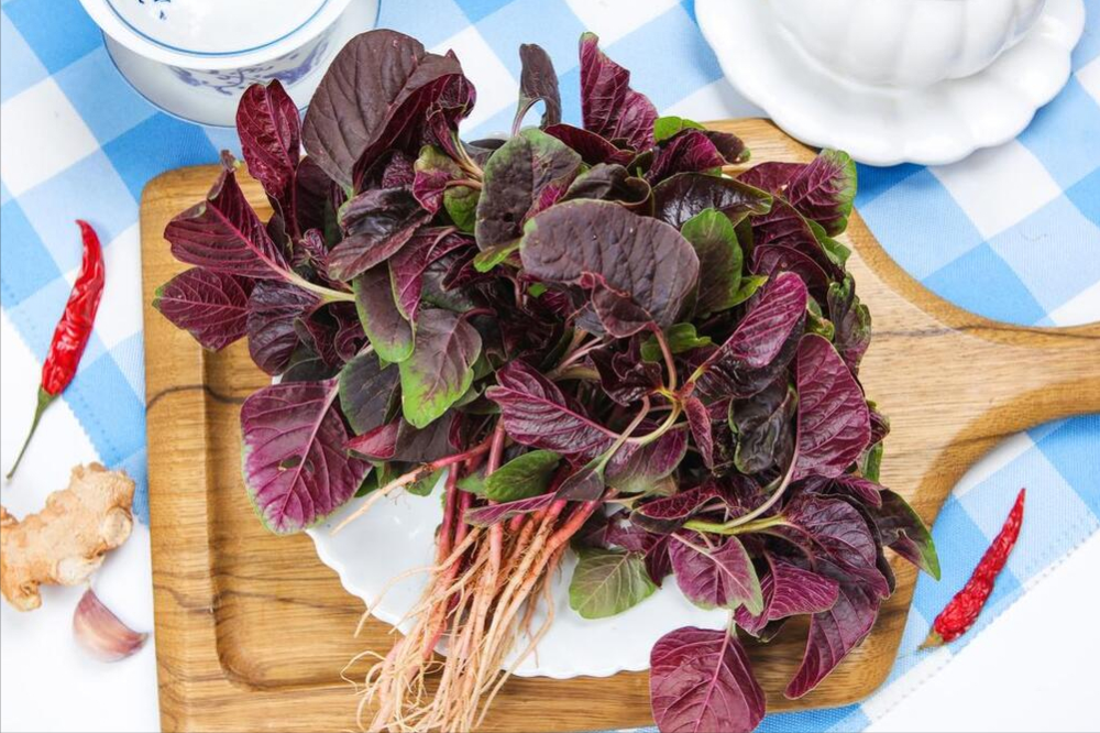 红苋菜到底要不要焯水?