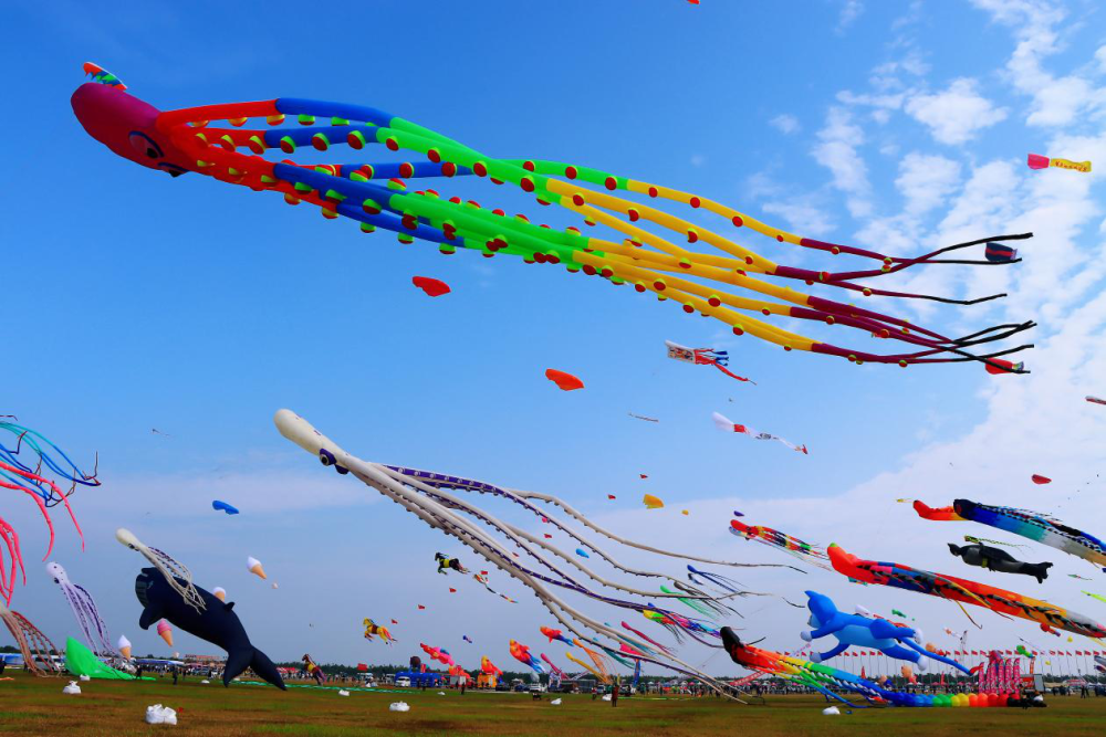 城市的印记|潍坊有"好品",千年"鸢都"绽芳华_腾讯新闻