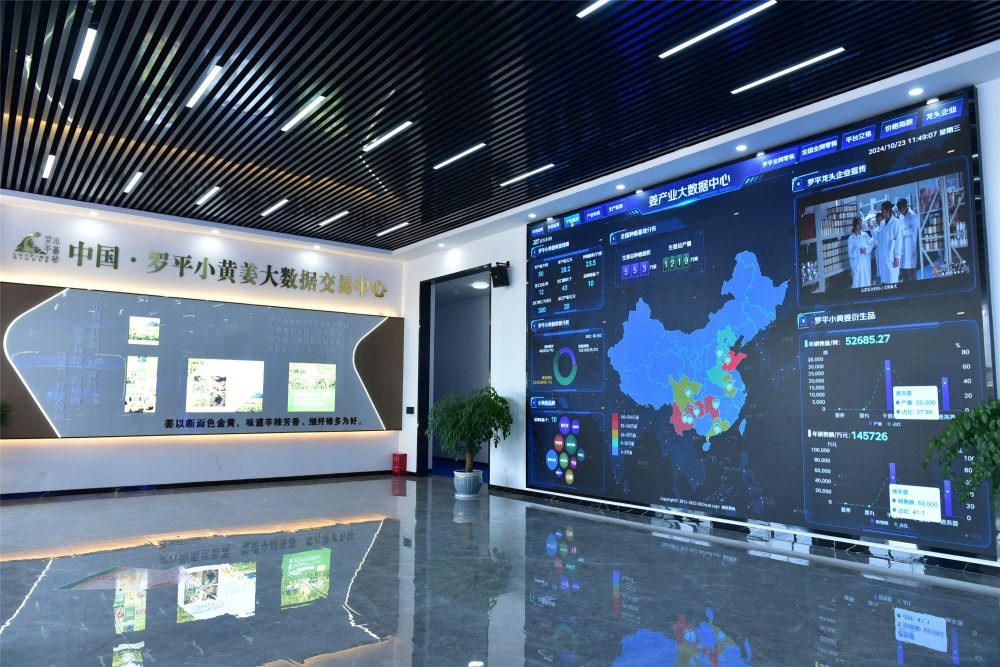 [南方生姜网-图片加载]