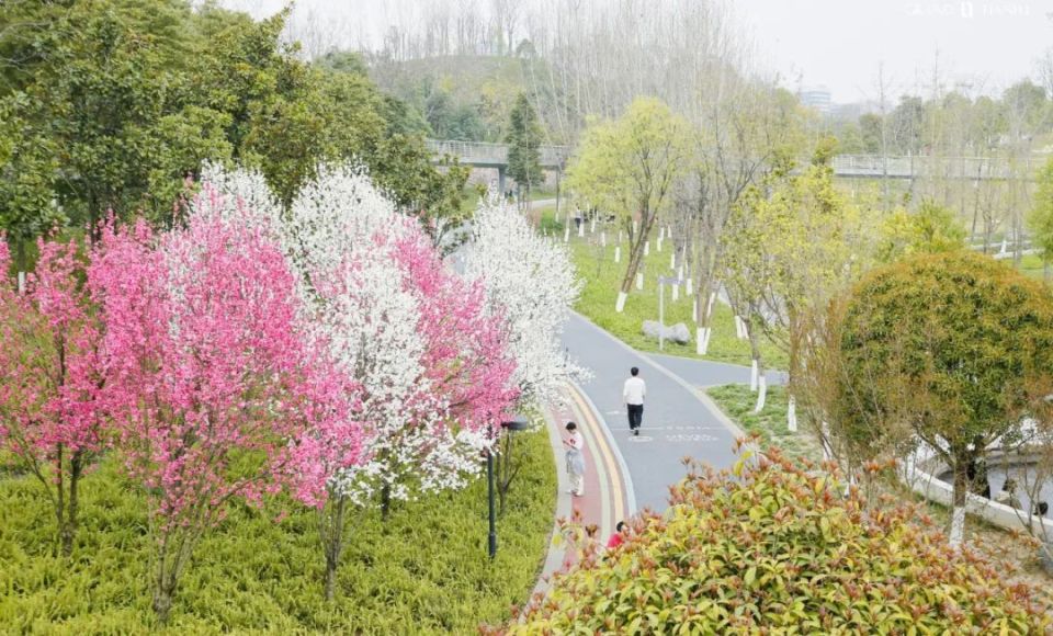 新川之心公园实景△新川印周边公园配套示意基础的生活配套也是谆够
