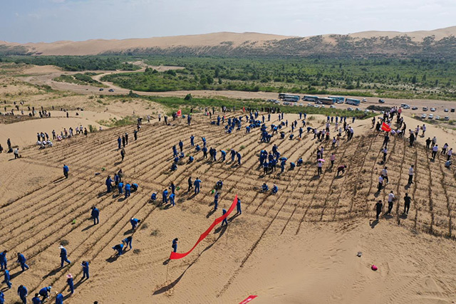 达拉特旗树林召镇以西约50公里处,是西柳沟水土保持综合治理项目区.