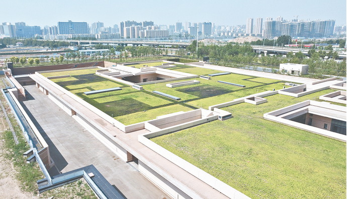 【风物郑州】大河村国家考古遗址公园：七千年遗址焕新颜