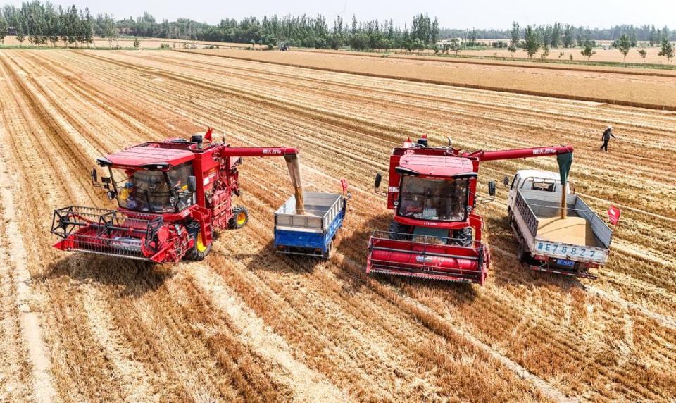 农机合作社统一调配小麦联合收获机3000多台,玉米播种机超5000台,围绕