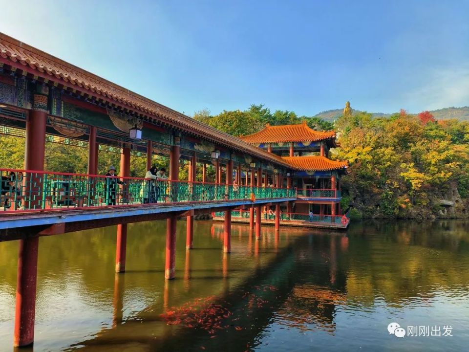 大连横山景区枫叶最佳观赏期到了,快来打卡吧