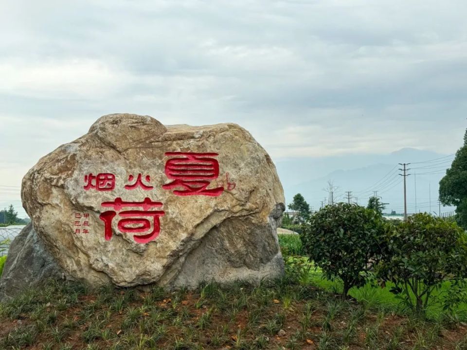 闲置变宝藏!峨眉这个村爆改"70后"资产