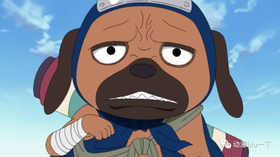 忍界最可爱的6只通灵兽,忍犬帕克上榜,最后一只差一点害死雏田