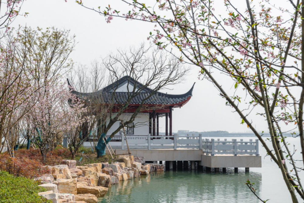 夏日"沪"水游丨青浦:元荡湖畔生活图鉴 美好生活当如是