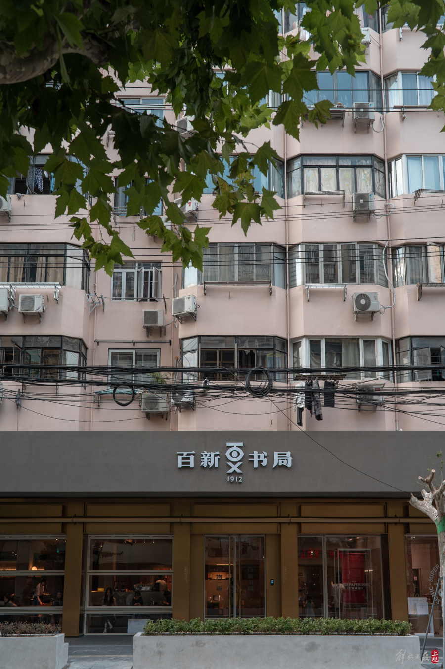 正值上海书展,崭新启幕的书店也成为读者们趋之若鹜的购书逛