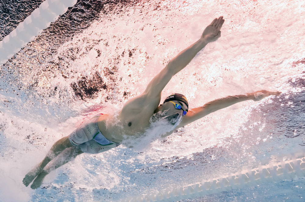 巴黎奥运会|游泳——男子100米蝶泳预赛赛况