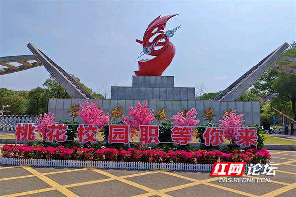 春赏美景好去处,常德这所"桃花校园"让人着迷_腾讯新闻