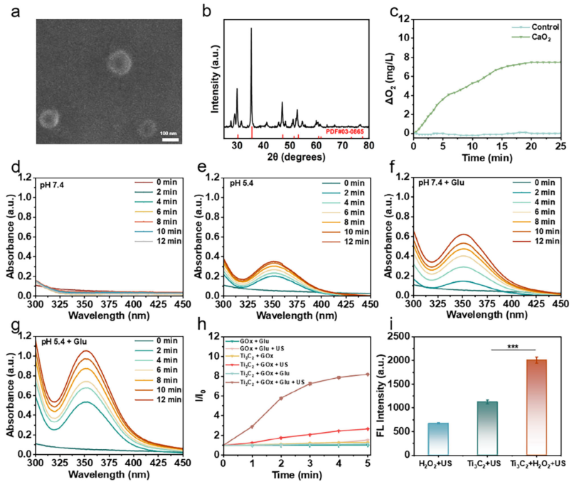 医用抗菌水凝胶怎么用南京工业大学AFM：新型可注射水凝胶为糖尿病脓肿治疗提供级联抗菌新策略_https://www.jmylbn.com_新闻资讯_第4张