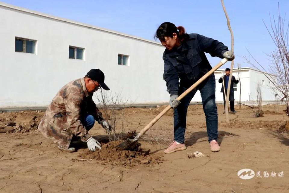 【三抓三促看行动】民勤县薛百镇:植树绿化正当时 共筑和谐安居梦