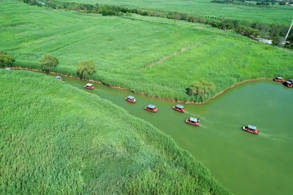 太公湖公园桓台红莲湖公园高青芦湖公园沂源胜利山公园高新区花山公园