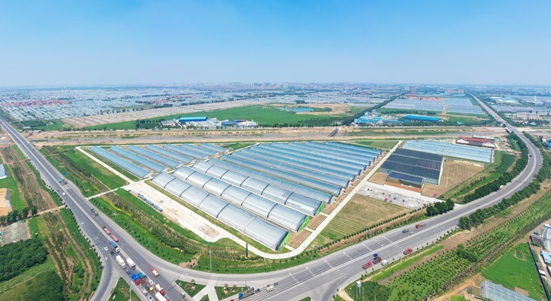 从输出技术到全链条输出园区模式寿光蔬菜跨入园区时代