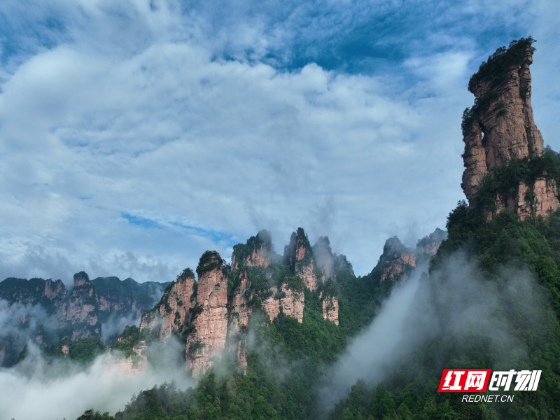 张家界武陵源:十里画廊峰林云海美如画