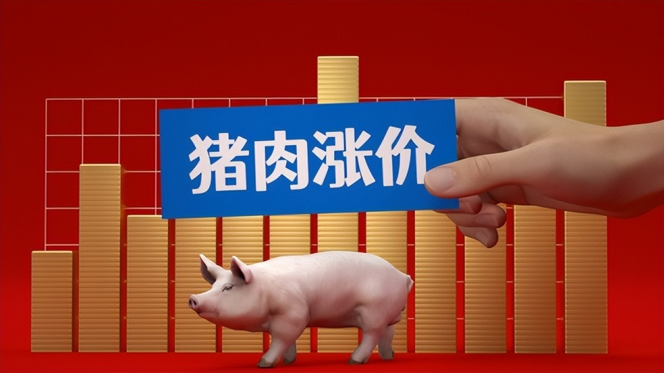 641