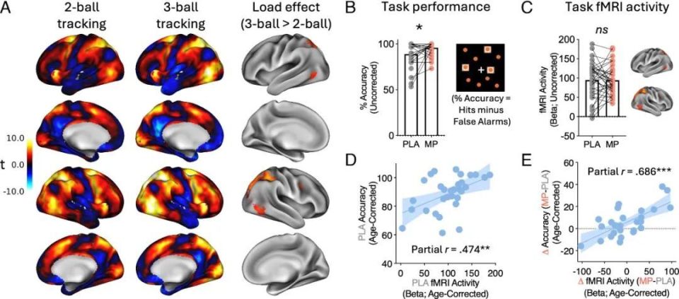心电图机器怎么看追问weekly ｜ 过去一周，脑科学领域有哪些新发现？_https://www.jmylbn.com_新闻资讯_第24张