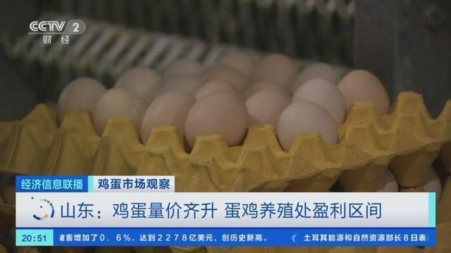 3月份全国鸡蛋价格上涨，批发价每公斤超10元