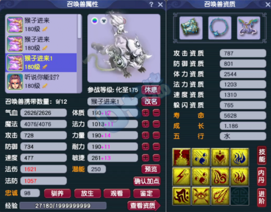 梦幻西游西栅老街服战咒师普陀展示,手持极致硬件第一12技能谛听