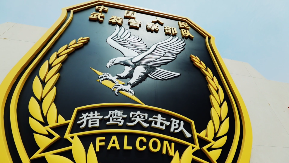 猎鹰突击队,请检阅!_腾讯新闻