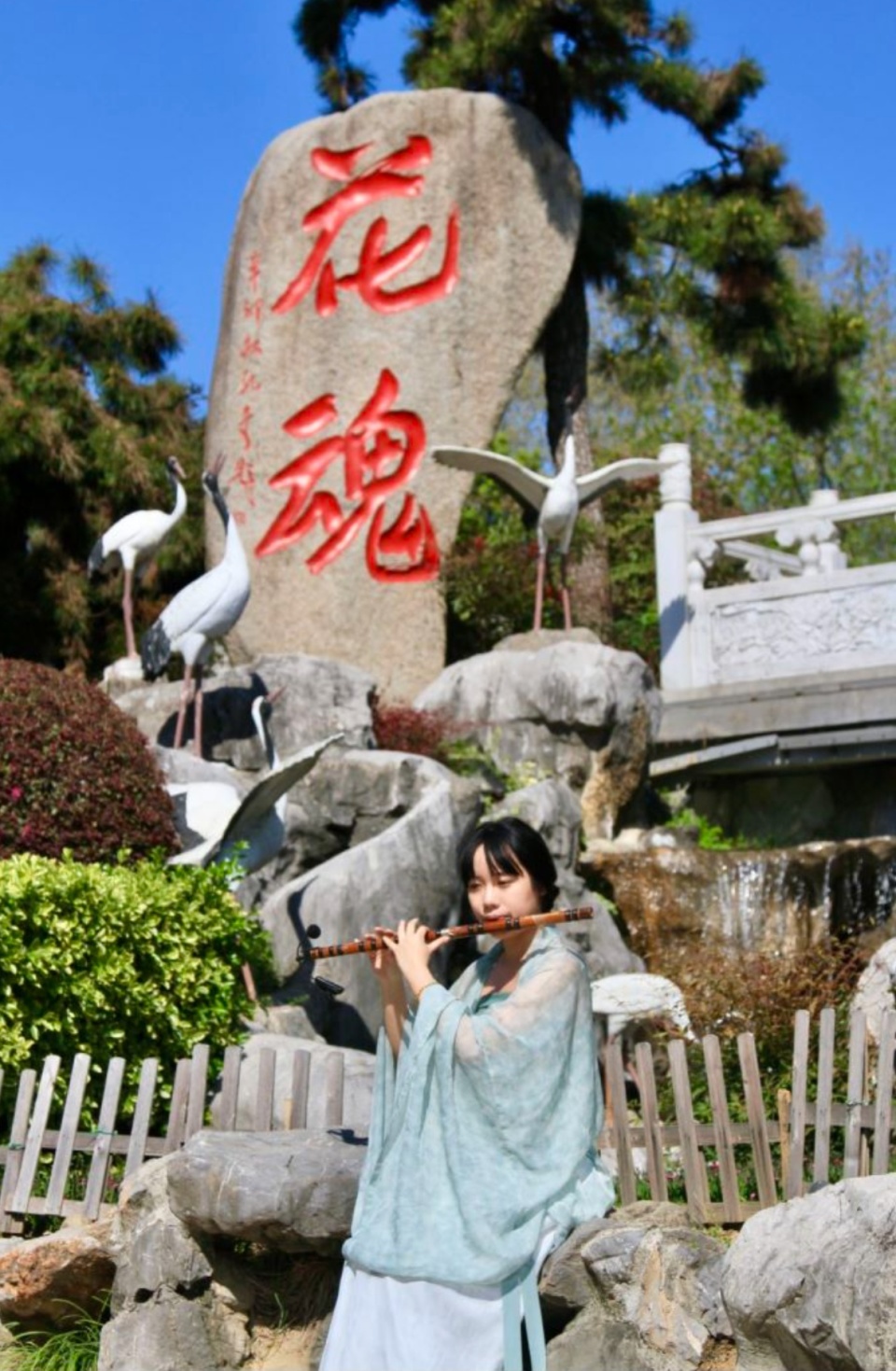 听曲赏花好惬意东湖牡丹园花开六成